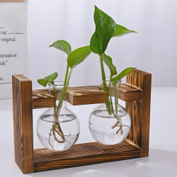 Glass Planter With Wooden Base